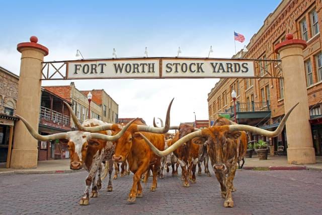 SR22 Insurance Fort Worth TX
